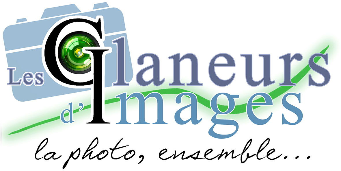 LES GLANEURS D'IMAGES